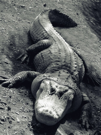 Здддравствуй, Гггена..:)