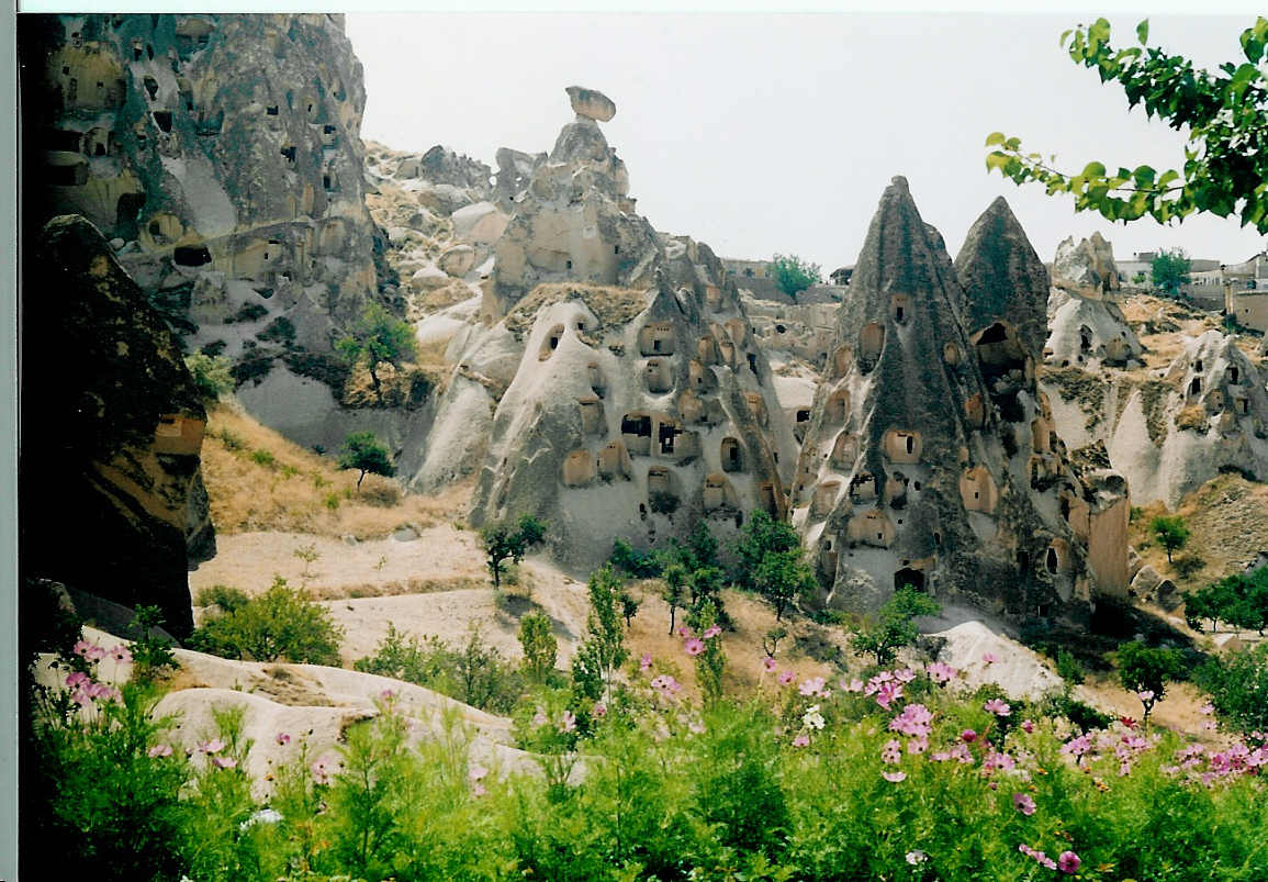Домики