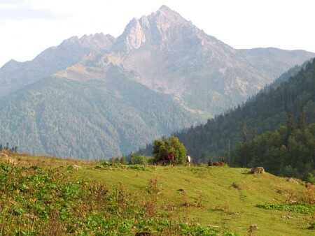 горы Абхазии