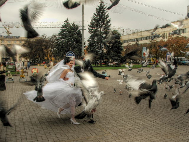 наперегонки....