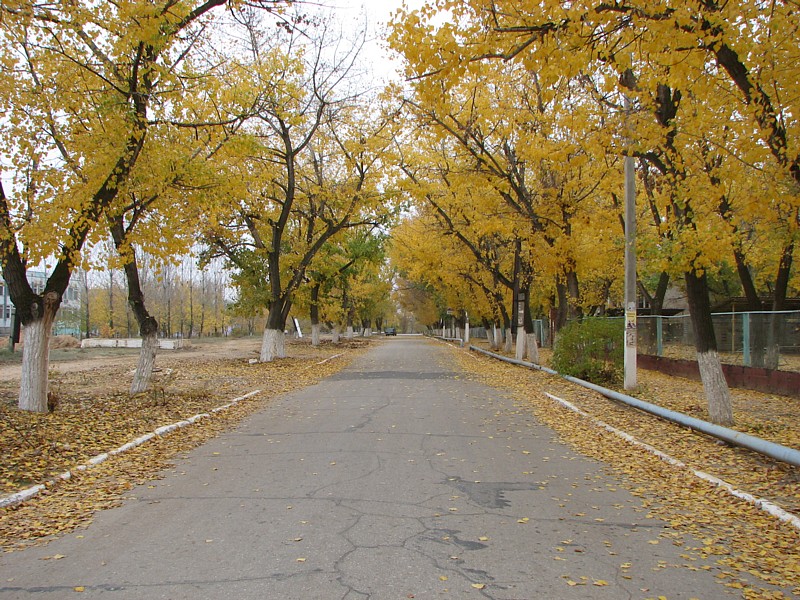 Дорога в осень