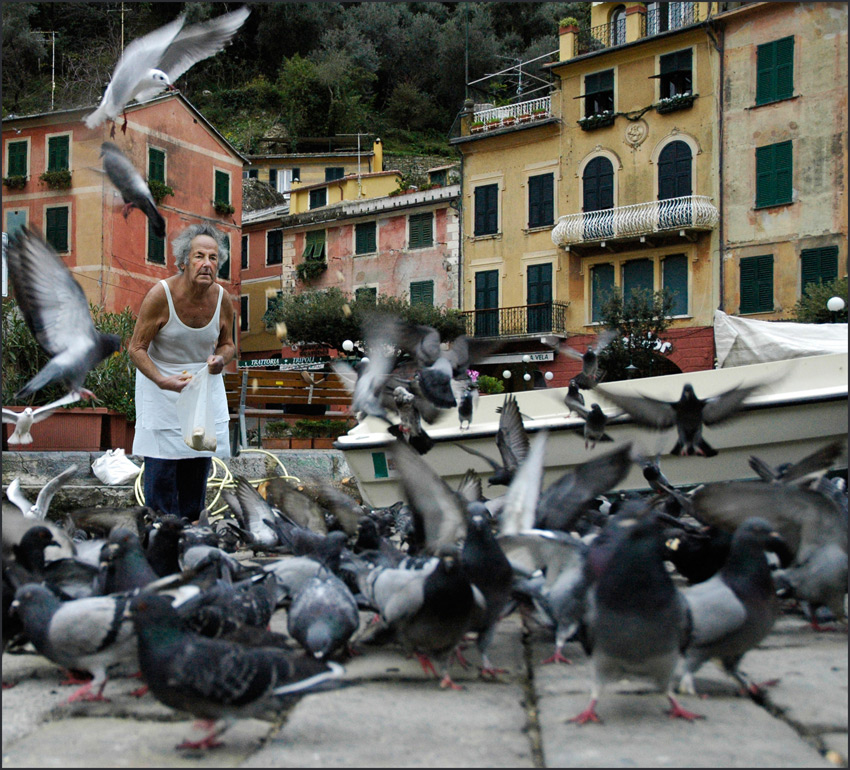 Birds