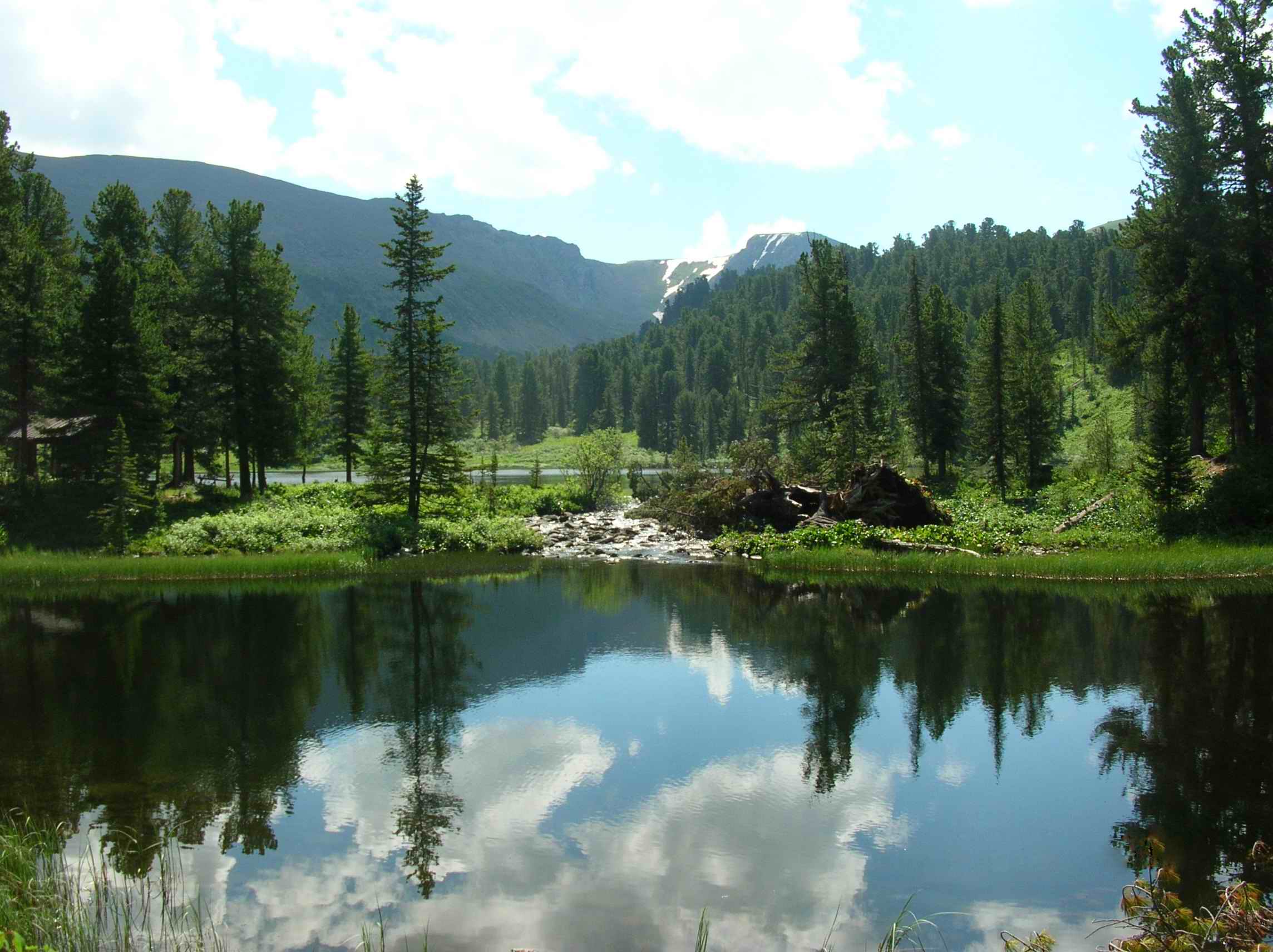 Зеркало