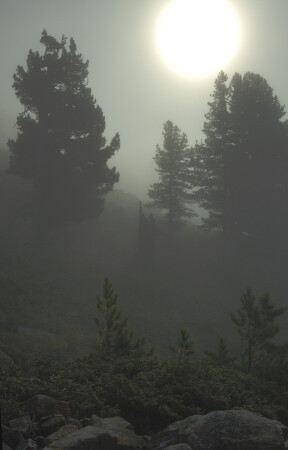 Через туман