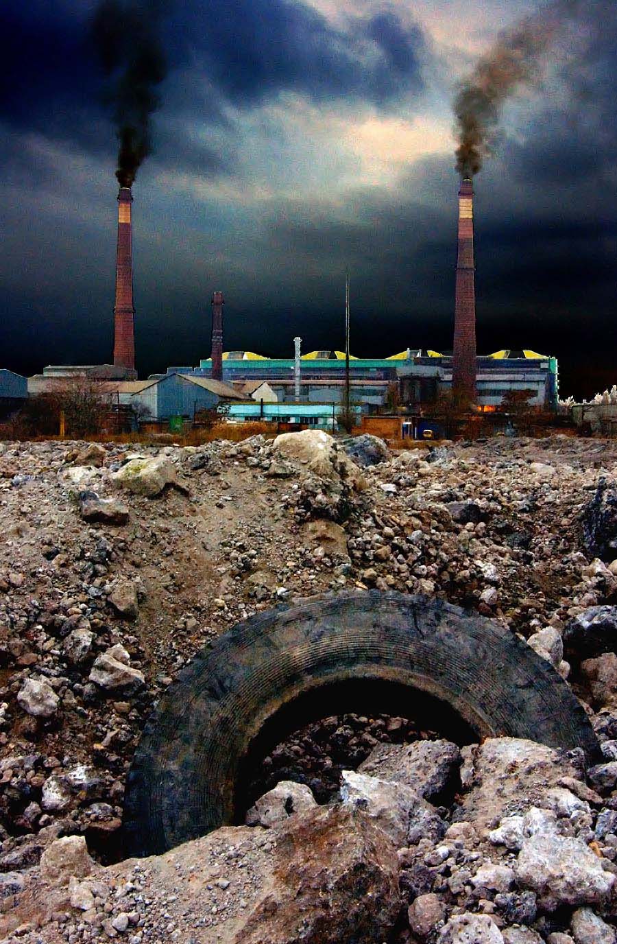 природа 2042 года