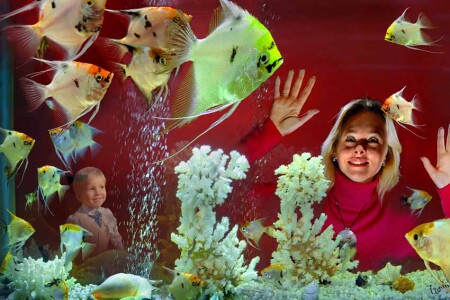 14 dekabrya