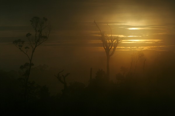misty