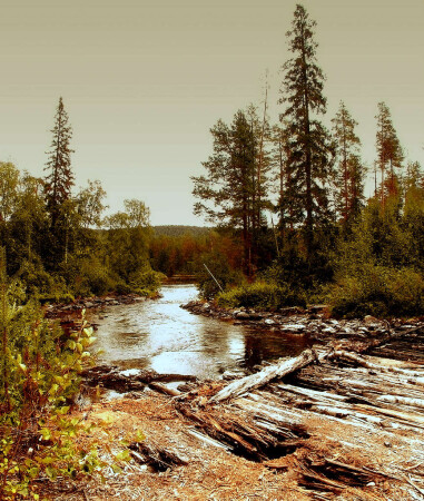 По Карелии.р.Волома.