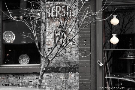 "ORCHARD STREET"NEW YORK