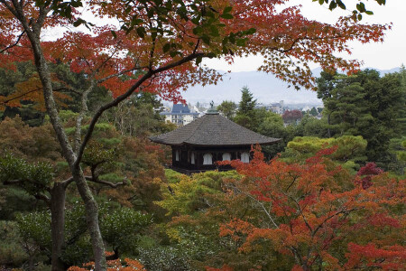 Серебряный Павильон 3 (Киото)