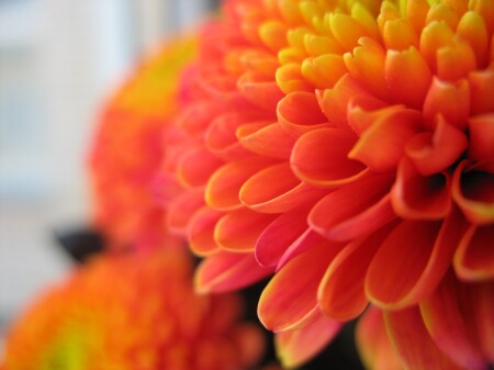 o_O &amp;quot;Posledniji otzivi leta&amp;quot;