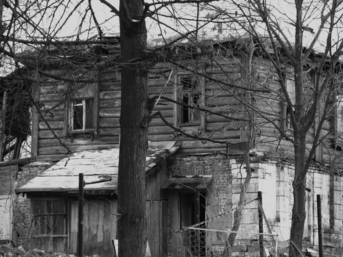 живой