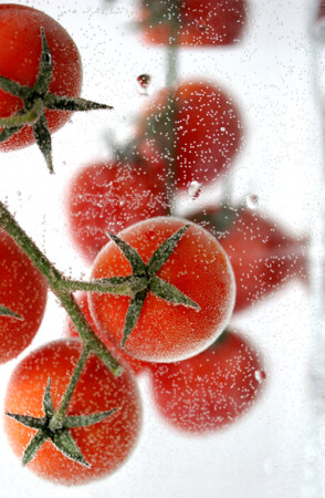 Tomato