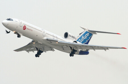 птица... живая и железная