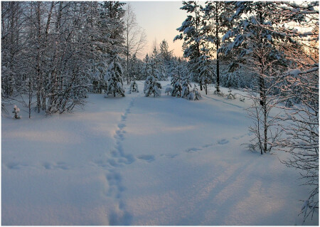 Перекресток