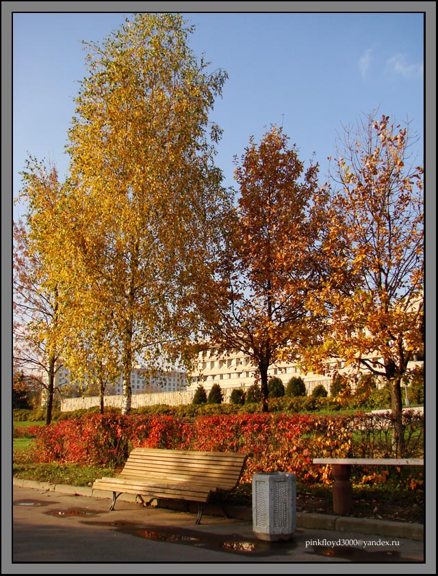 Осень1