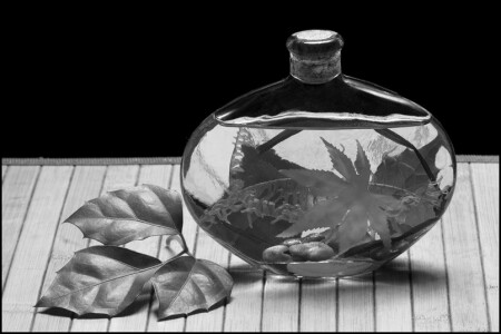 nature... morte