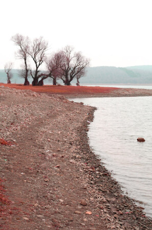 берег водохранилища