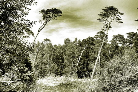 Аномальщина