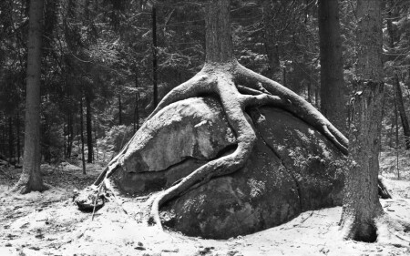 В преддверии зимы