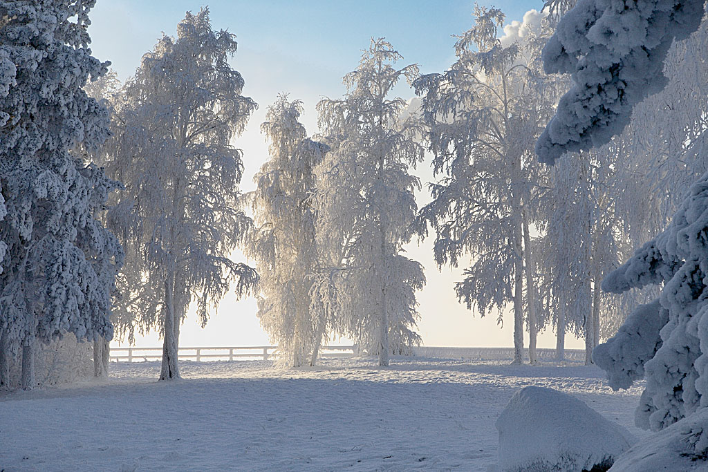 Зимняя