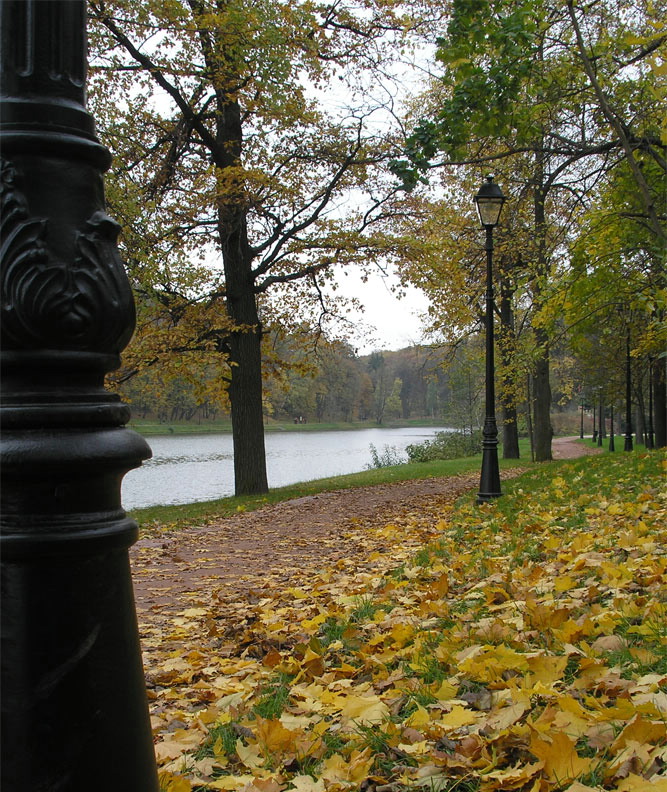 Осень