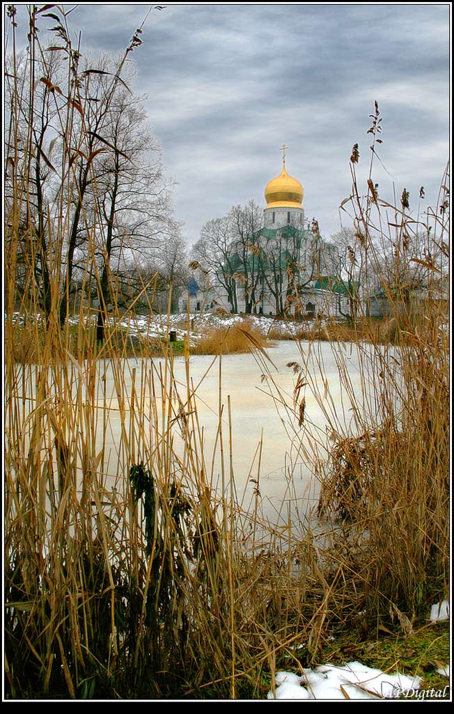 Зима в Пушкине