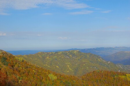 &amp;quot;Нежный&amp;quot; вид :)