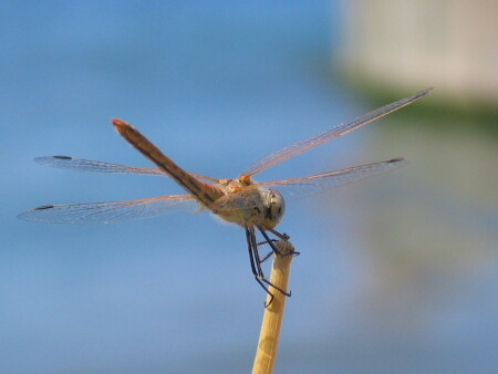 На отдыхе...