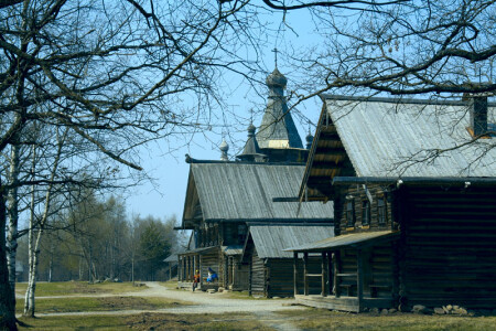 Витославлицы