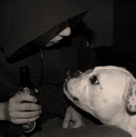 Вечерние беседы о пиве