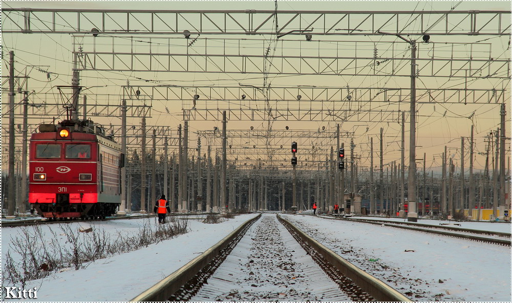 Железнодорожные джунгли