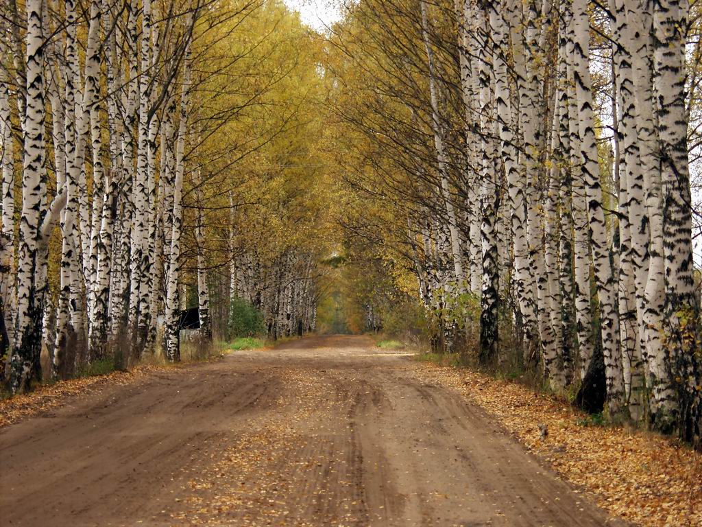 осень