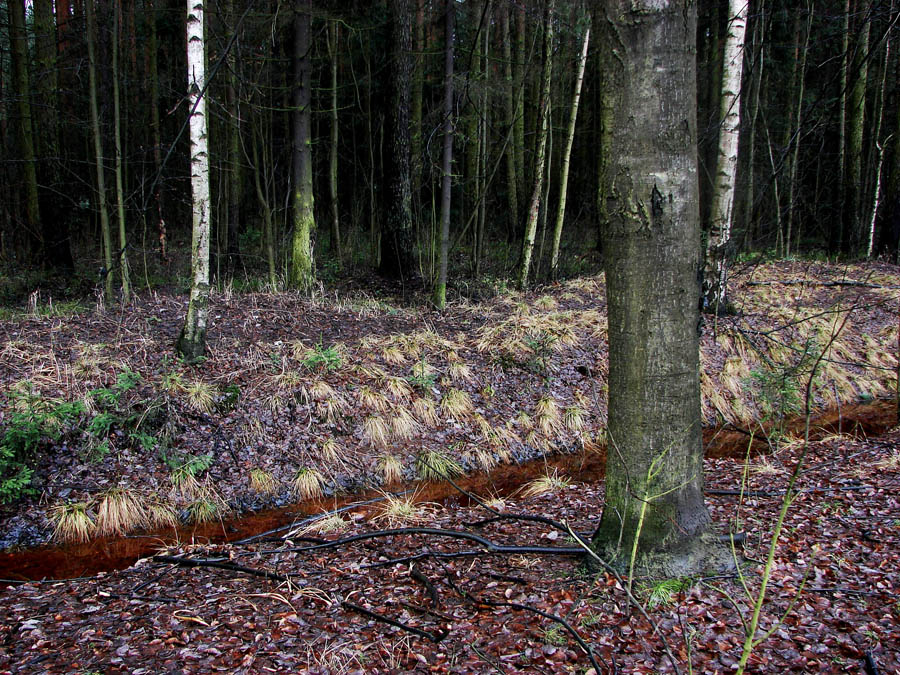 Мannergeim line
