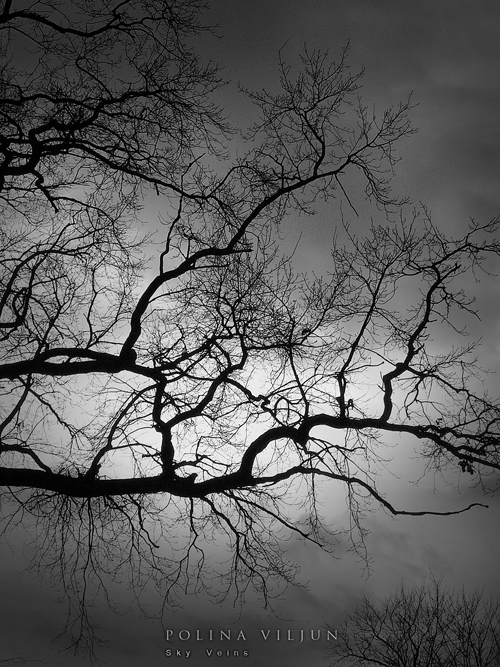Sky Veins