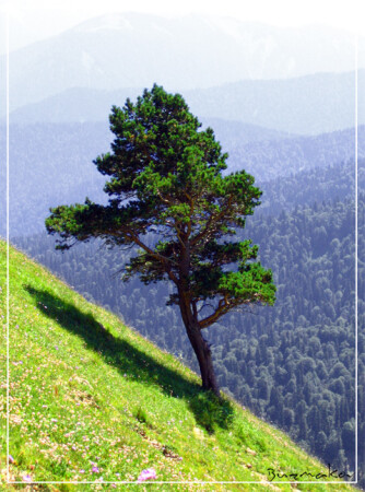 Одиночество