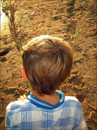 Пришельцы...