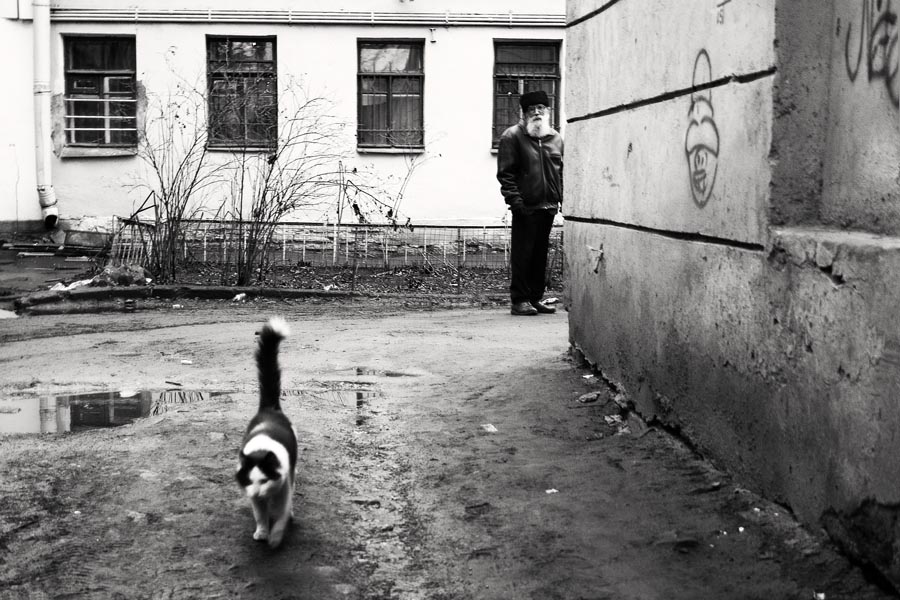 Коша.