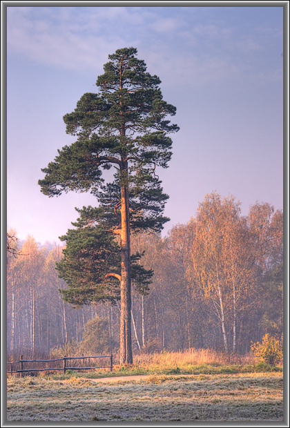Раннее, осеннее утро.