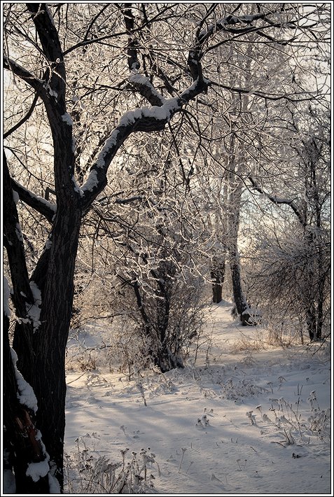 зимняя зарисовка