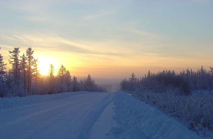 Зимник