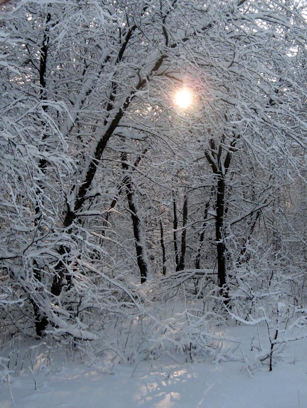 Зимнее кружево