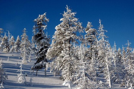 По Колымской трассе 2