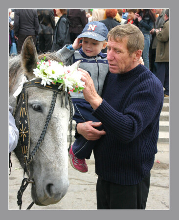 Деточка, все мы немножко лошади