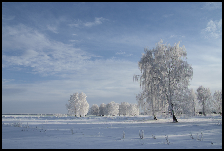 The Siberia....