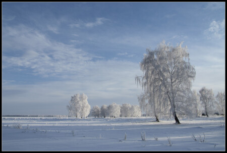 The Siberia....