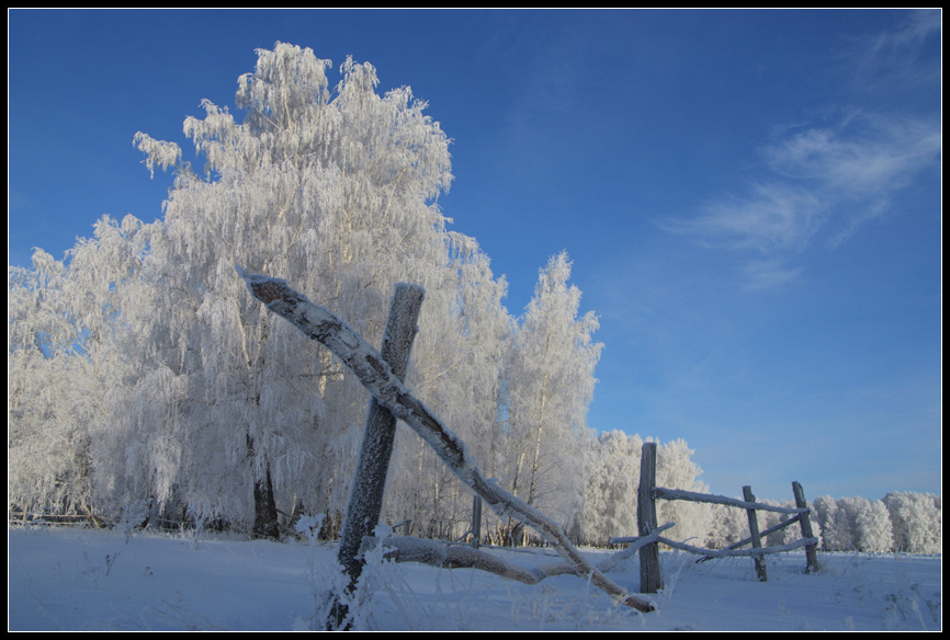 The Siberia....