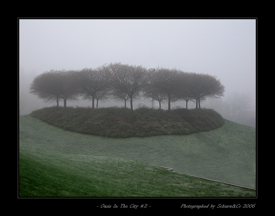 - Oasis In The City #2 - 