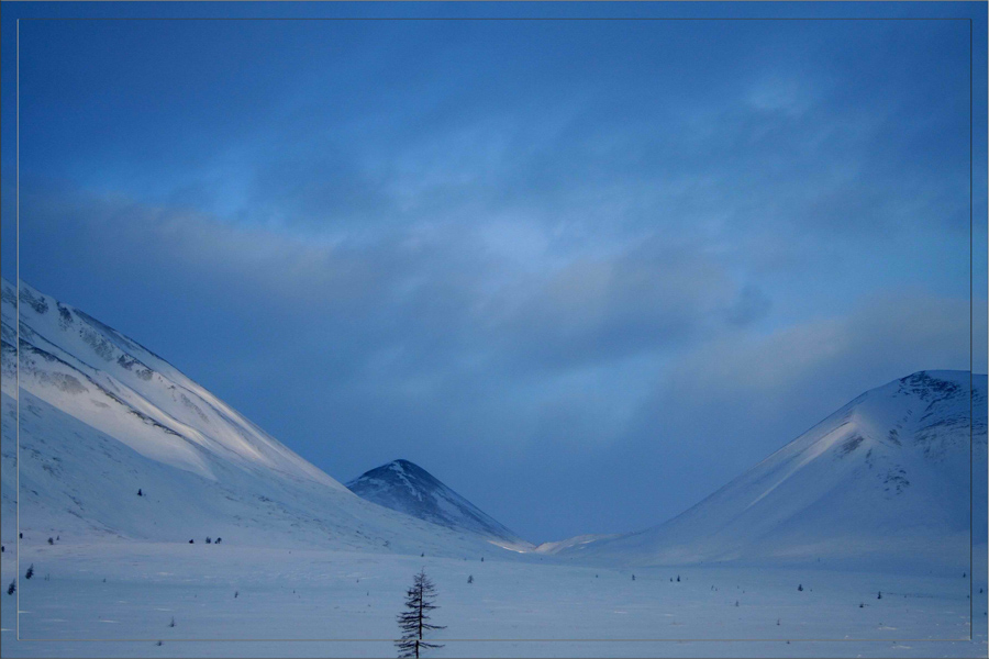 Конец пурги