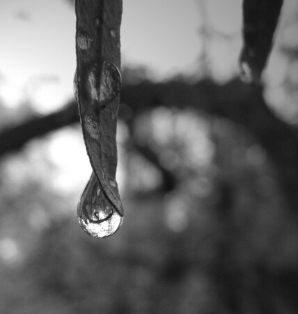 ..in water drop